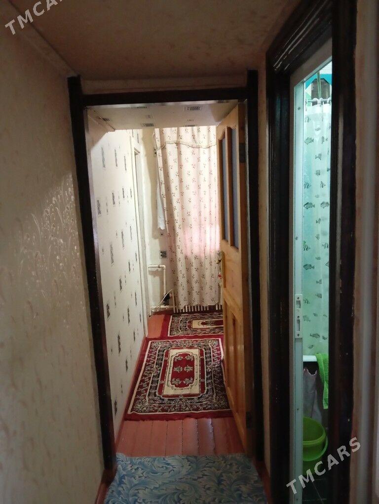 Arenda jay  - Mary - img 6