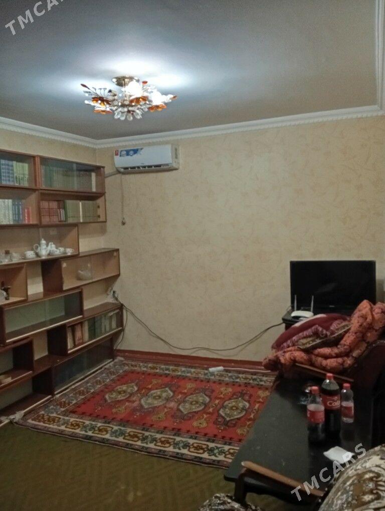 Arenda jay  - Mary - img 4