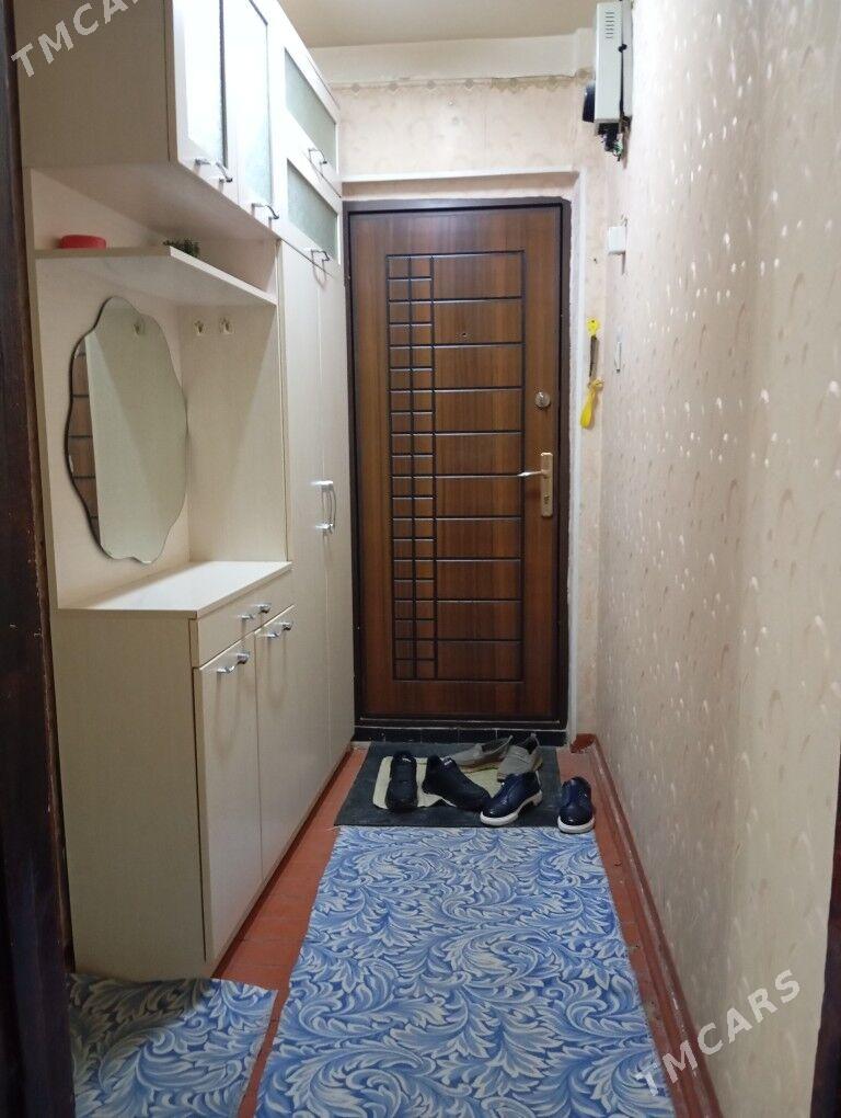 Arenda jay  - Mary - img 8