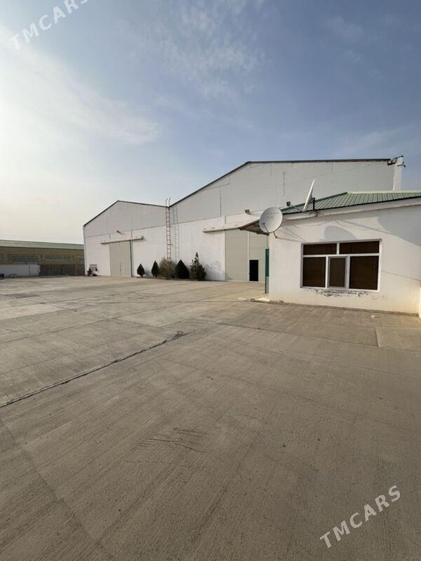Arenda Angar Sklad ucın Promzo - Aşgabat - img 1