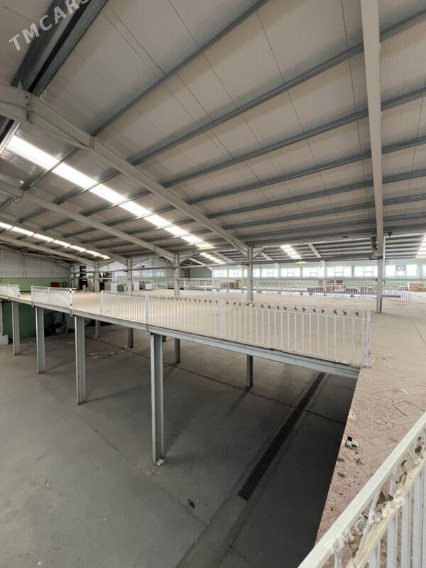 Arenda Angar Sklad ucın Promzo - Aşgabat - img 6