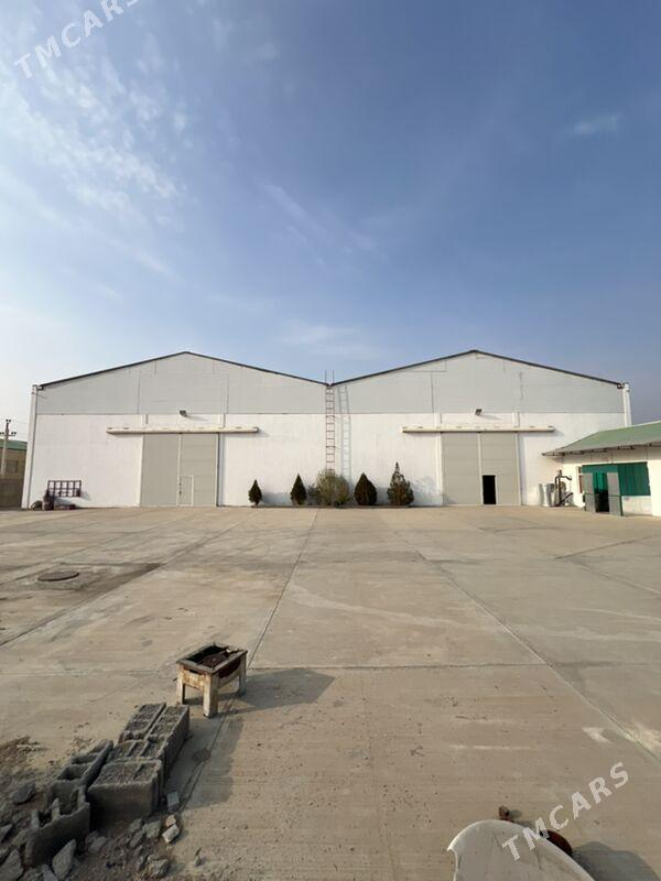 Arenda Angar Sklad ucın Promzo - Aşgabat - img 2