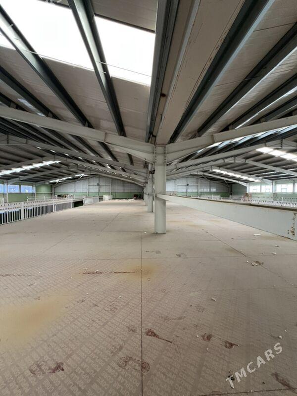 Arenda Angar Sklad ucın Promzo - Aşgabat - img 5