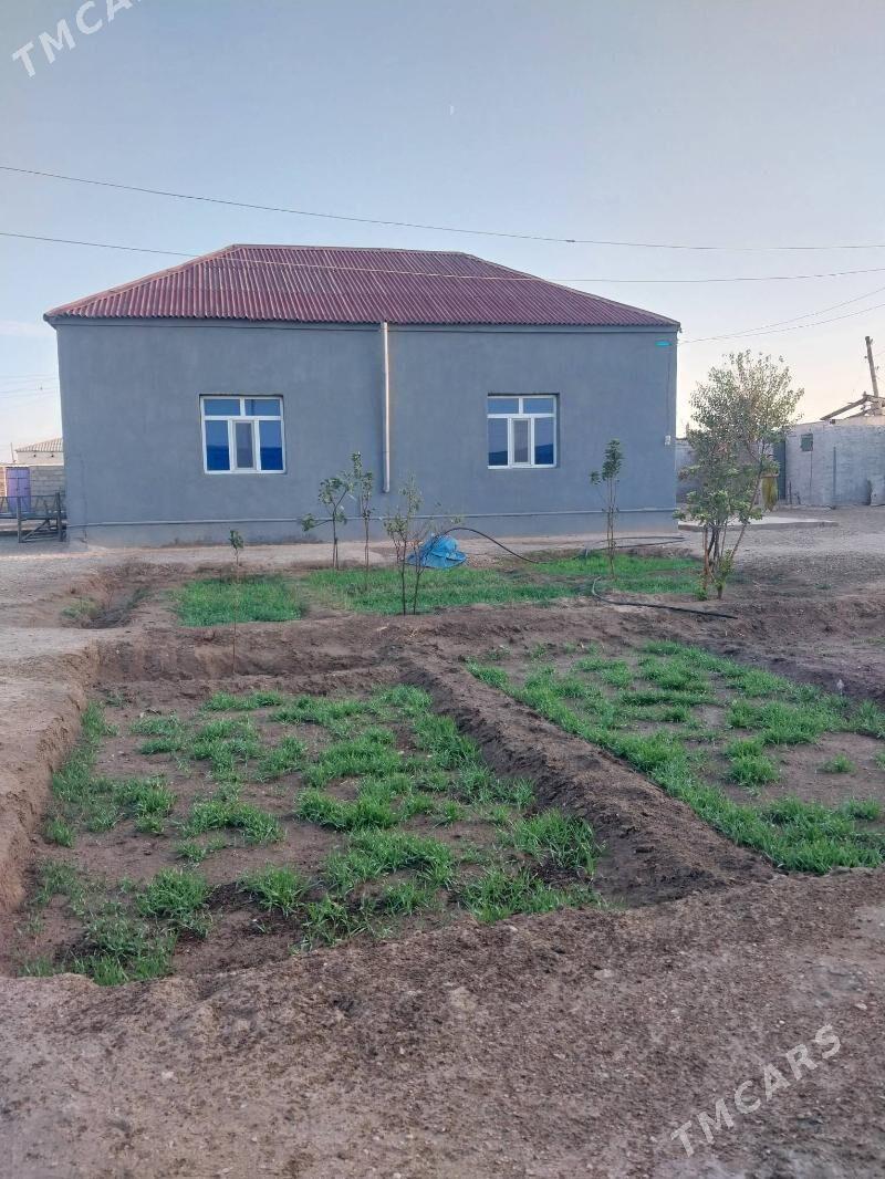 jay - Gumdag - img 1