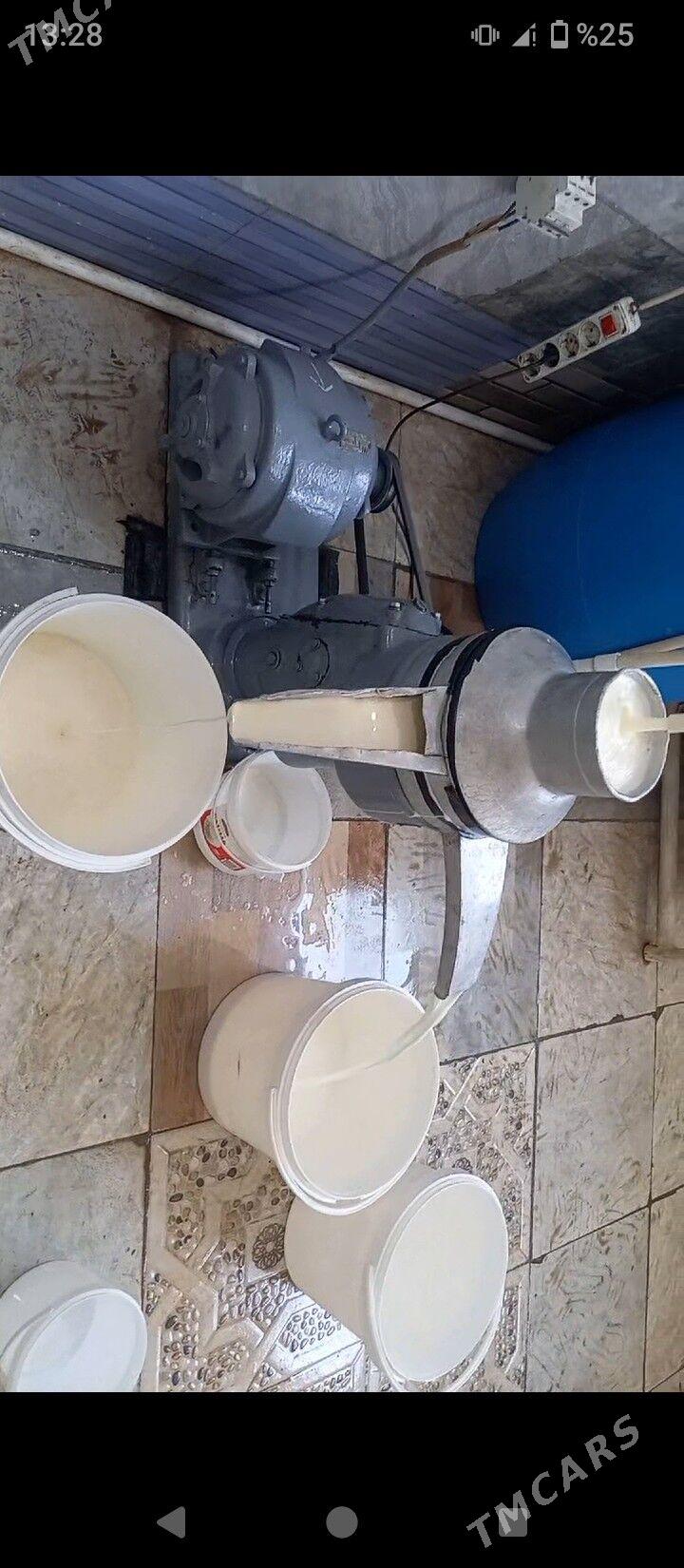 seperator gaymak aparat - Aşgabat - img 3