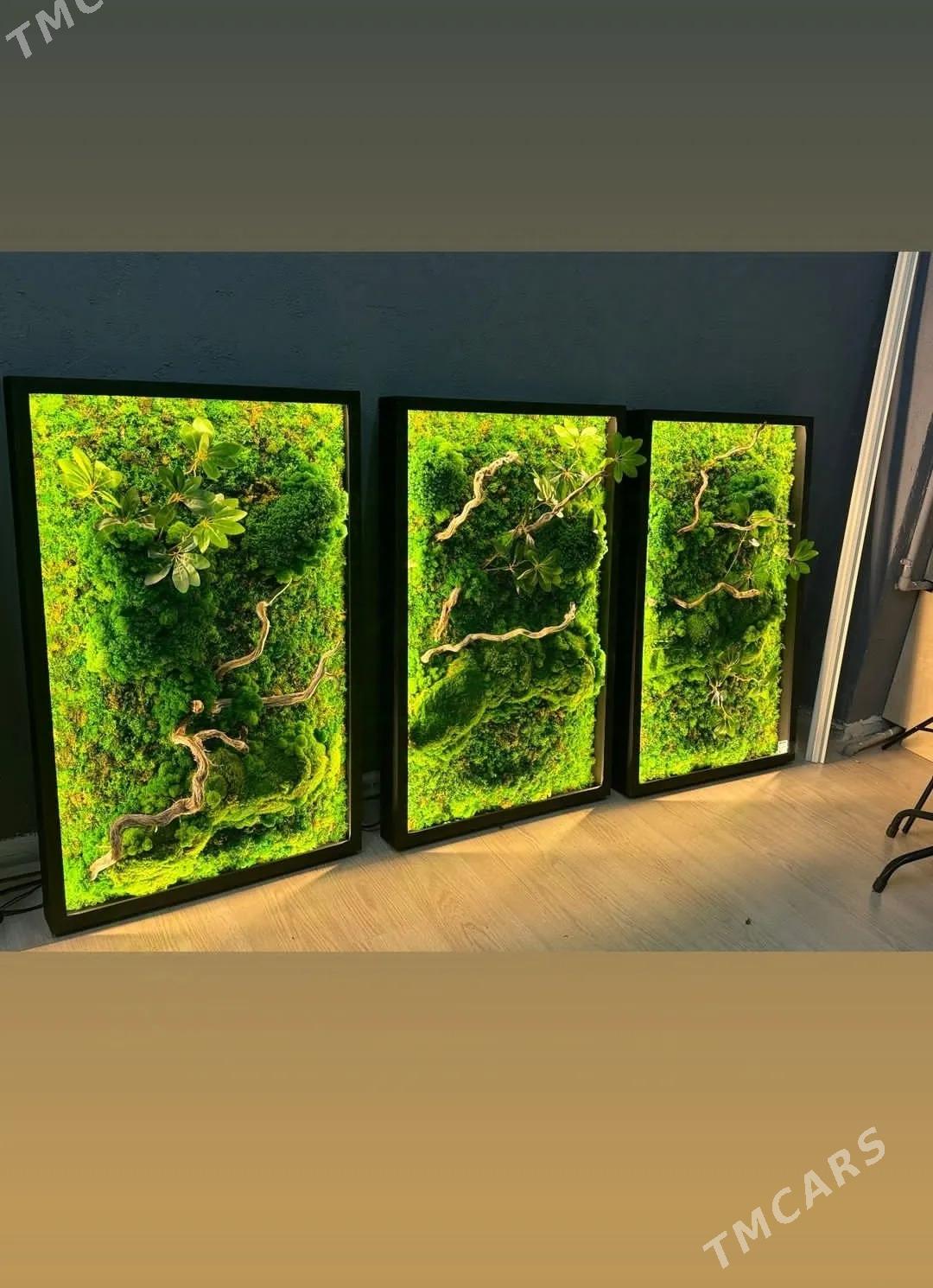 фитопанно или картина из мха - Ашхабад - img 1