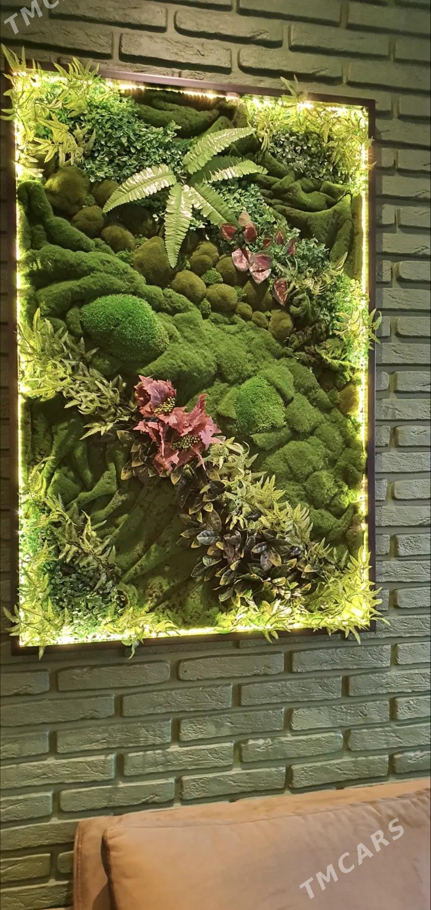 фитопанно или картина из мха - Ашхабад - img 2