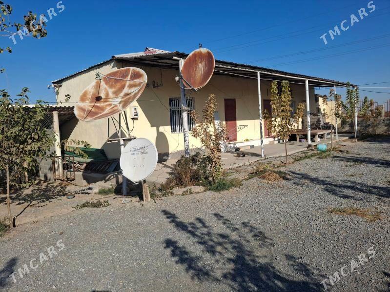 Arenda. jaÿ. - Кипджак - img 2