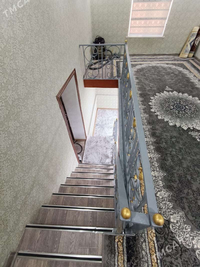 Satlyk jay - Mary - img 5