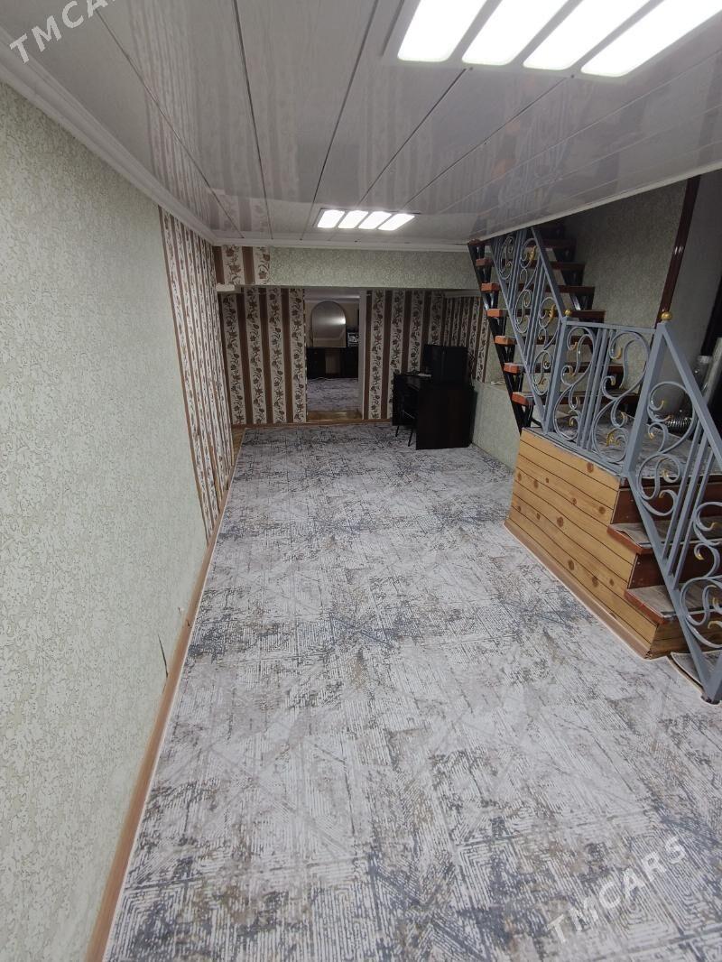 Satlyk jay - Mary - img 6