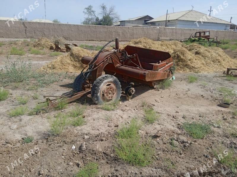 Алтай скрепер - Boldumsaz - img 2