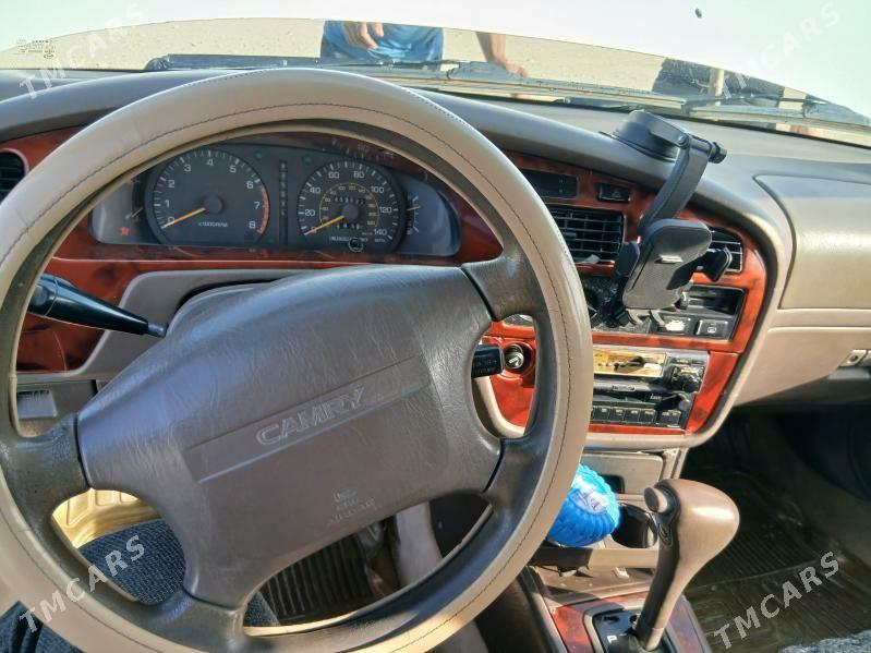 Toyota Camry 1994 - 100 000 TMT - Sakarçäge - img 5