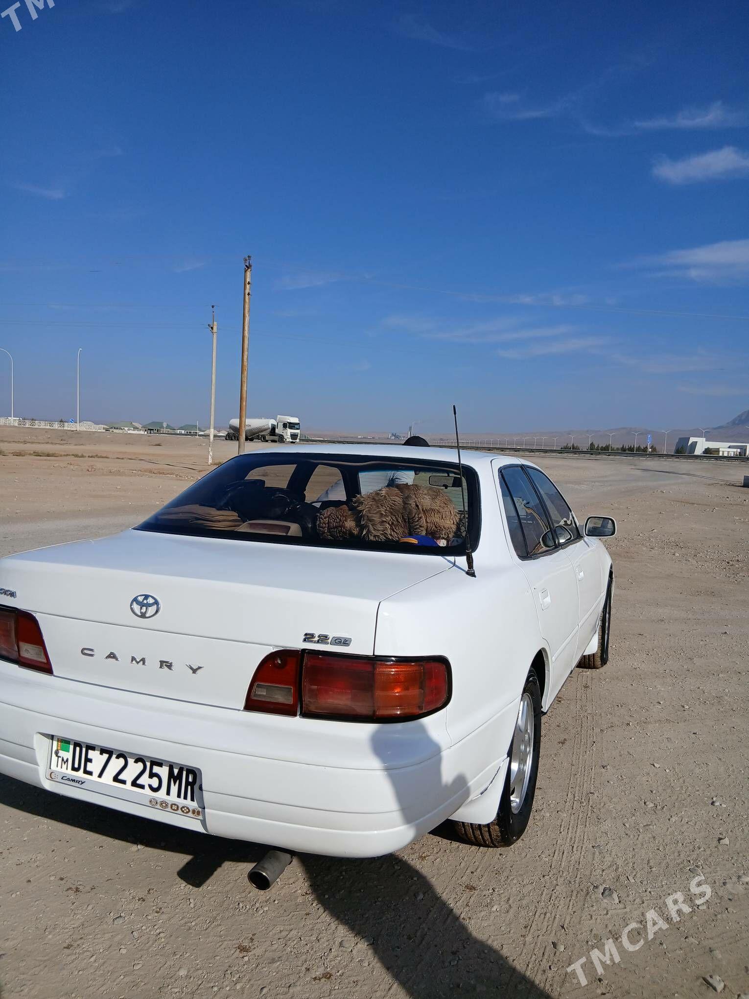 Toyota Camry 1994 - 100 000 TMT - Sakarçäge - img 3