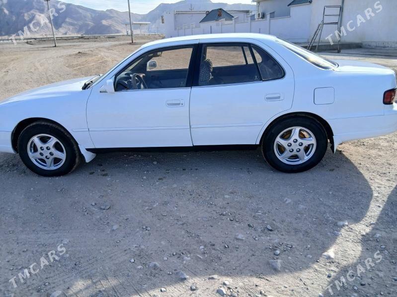 Toyota Camry 1994 - 100 000 TMT - Sakarçäge - img 4