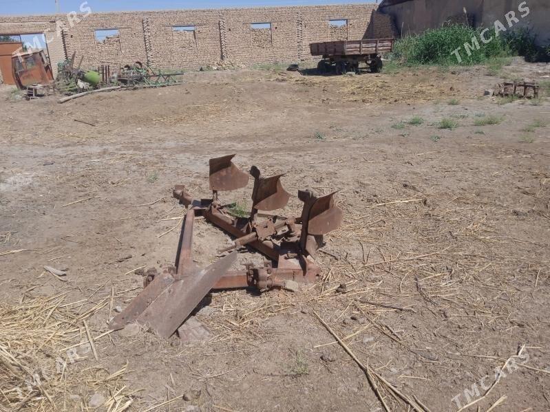 Алтай плух - Boldumsaz - img 2