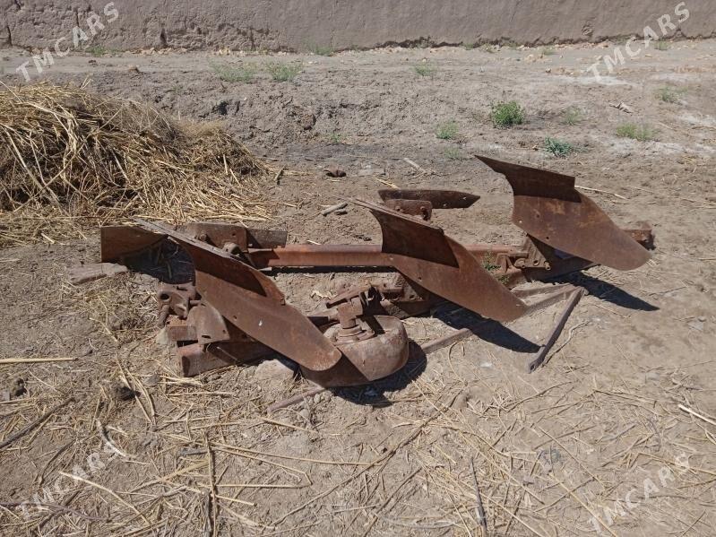 Алтай плух - Boldumsaz - img 1