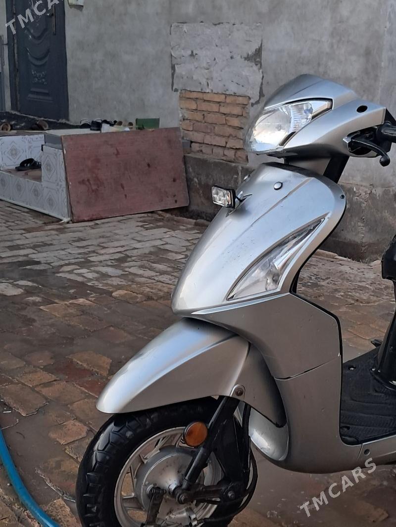 skuyter - Dänew - img 5