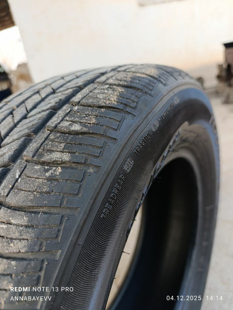 tigir balon 230 TMT - Гороглы (Тагта) - img 3