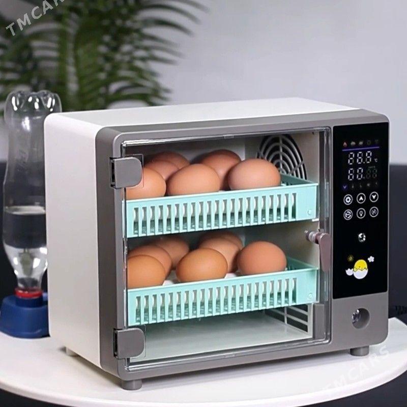 INKUBATOR —24 Juyjelik - Aşgabat - img 2