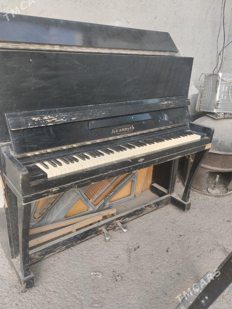 пионино - Garadamak - img 4