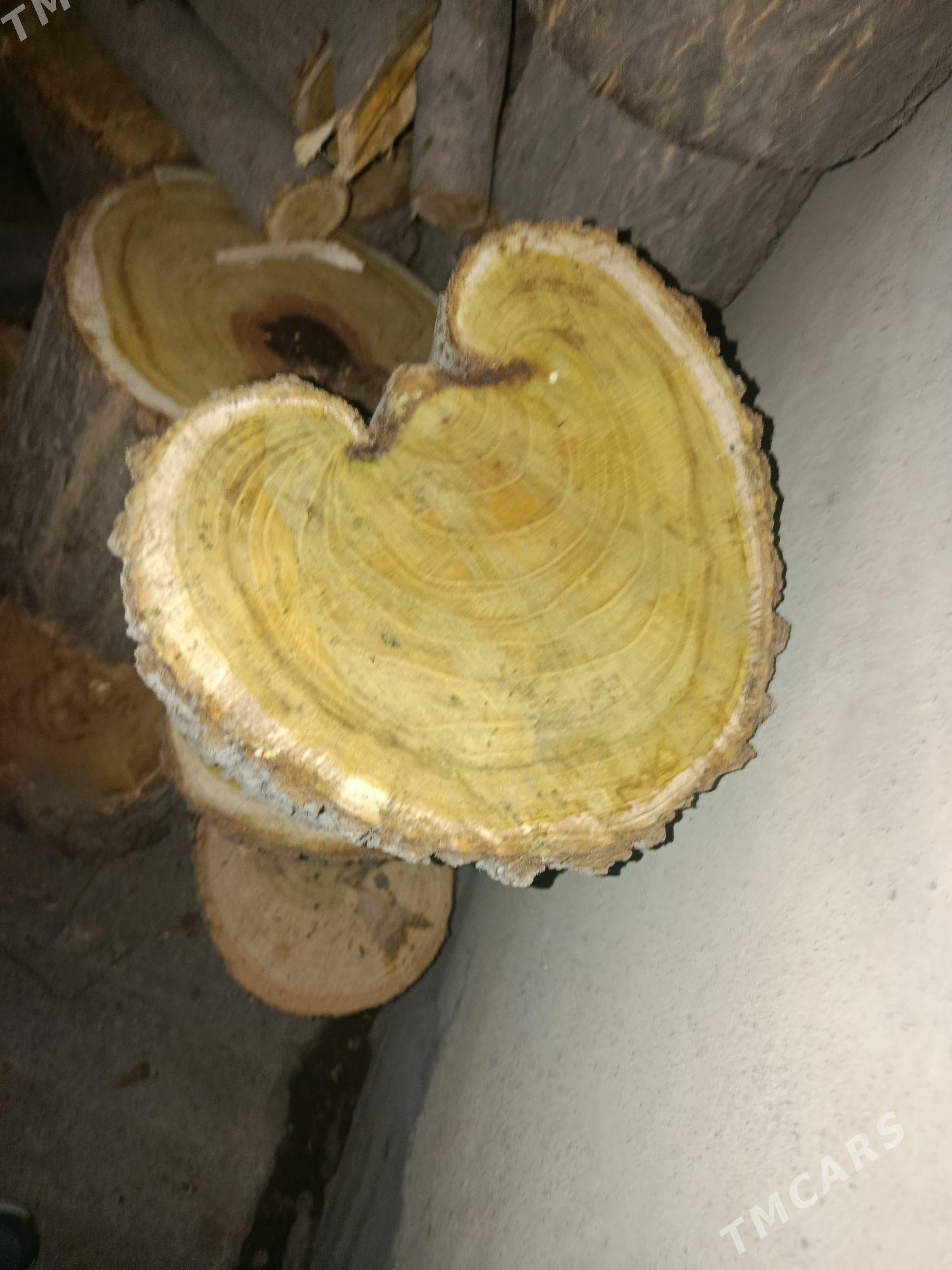 taburetka - Gagarin köç, köne Howa menzili - img 1