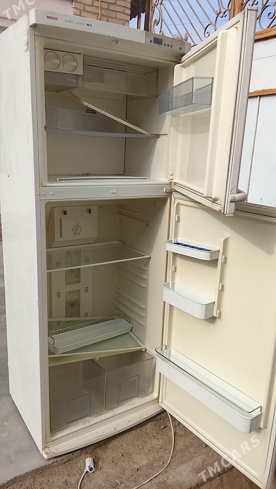 халодинниклер - Garabekewül - img 2