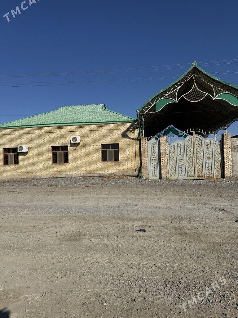 Satlik jay - Änew - img 8