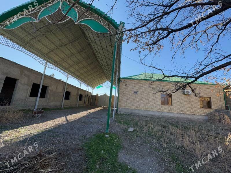 Satlik jay - Änew - img 7