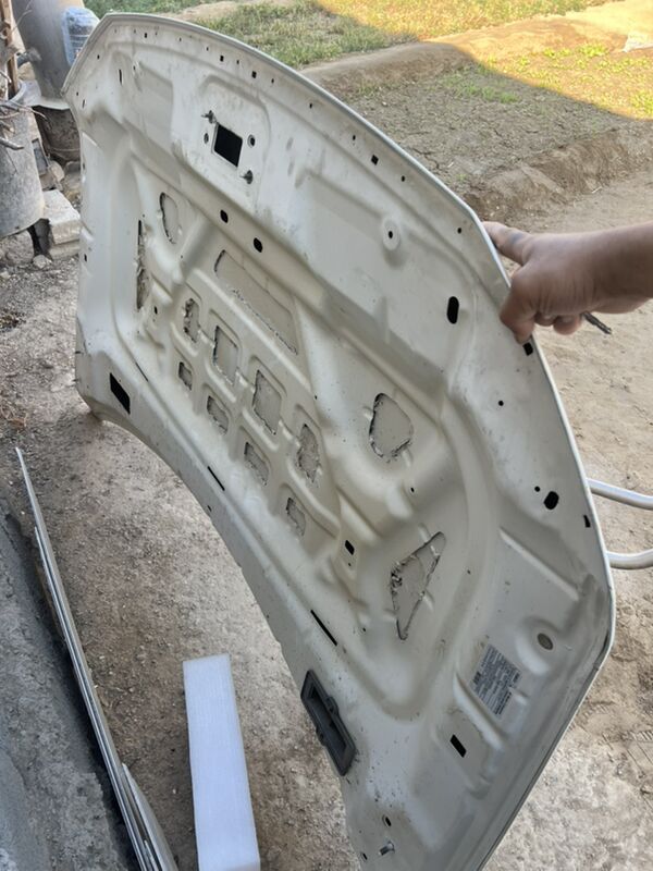 Expedition kapod arginal Aly 4 000 TMT - Ашхабад - img 1