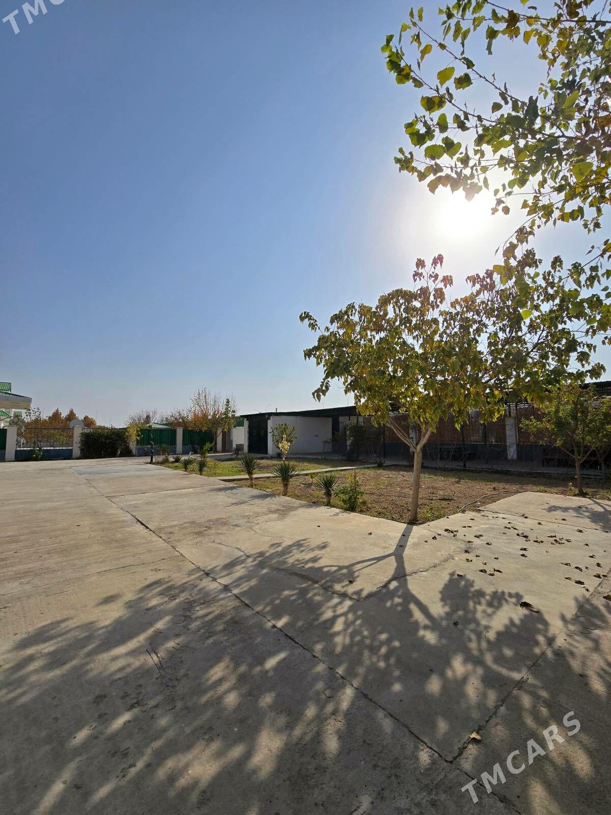 Тязе Заман, коттедж - Тязе заман - img 3