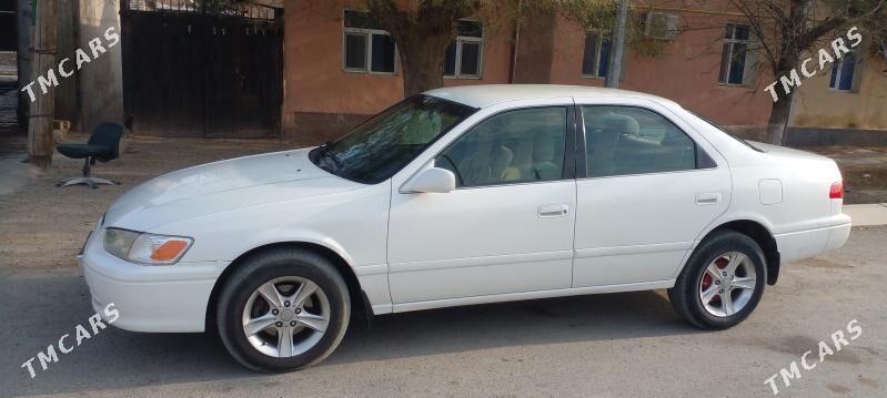 Toyota Camry 2001 - 205 000 TMT - Bereket - img 1