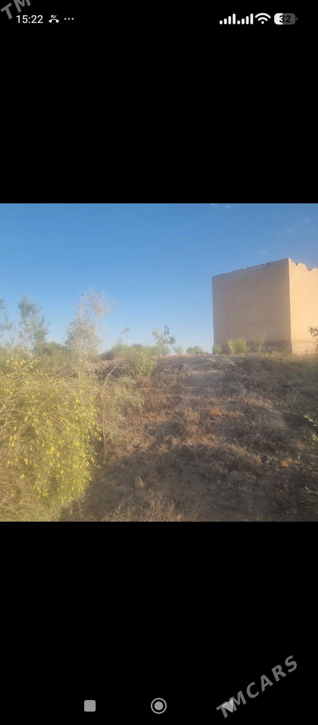 Меллек - Türkmenabat - img 4