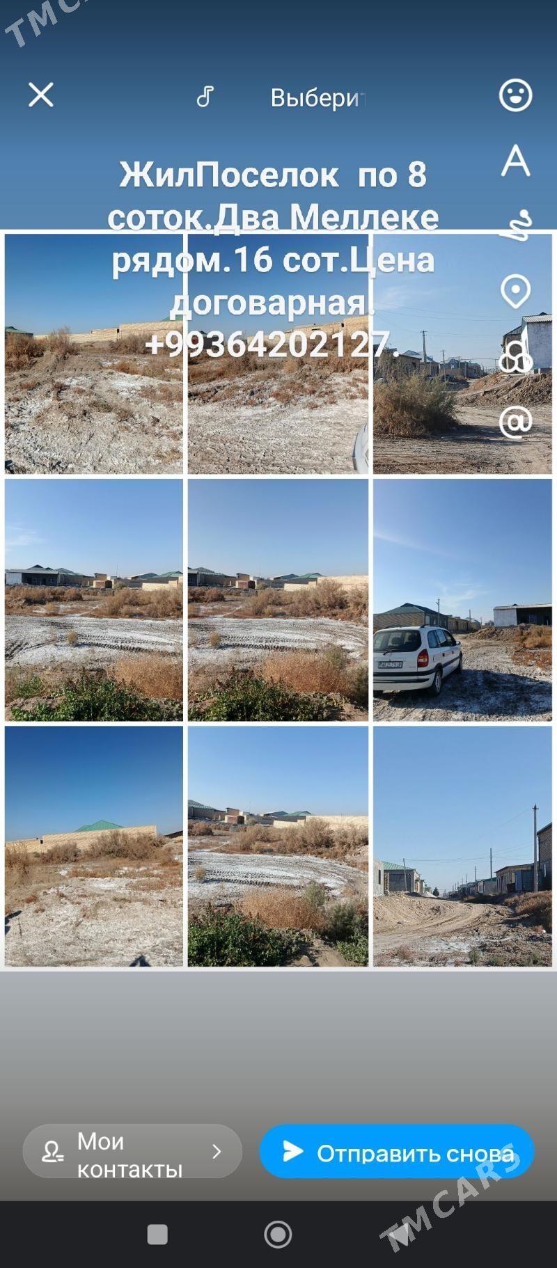 Меллек - Türkmenabat - img 5