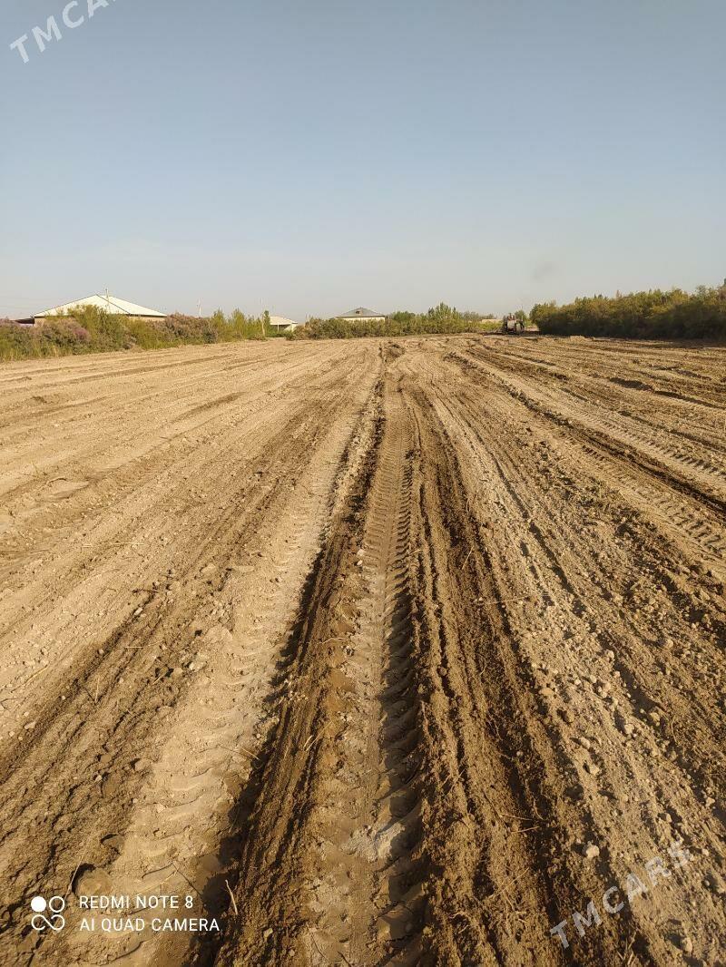 uchasga - Gubadag - img 2