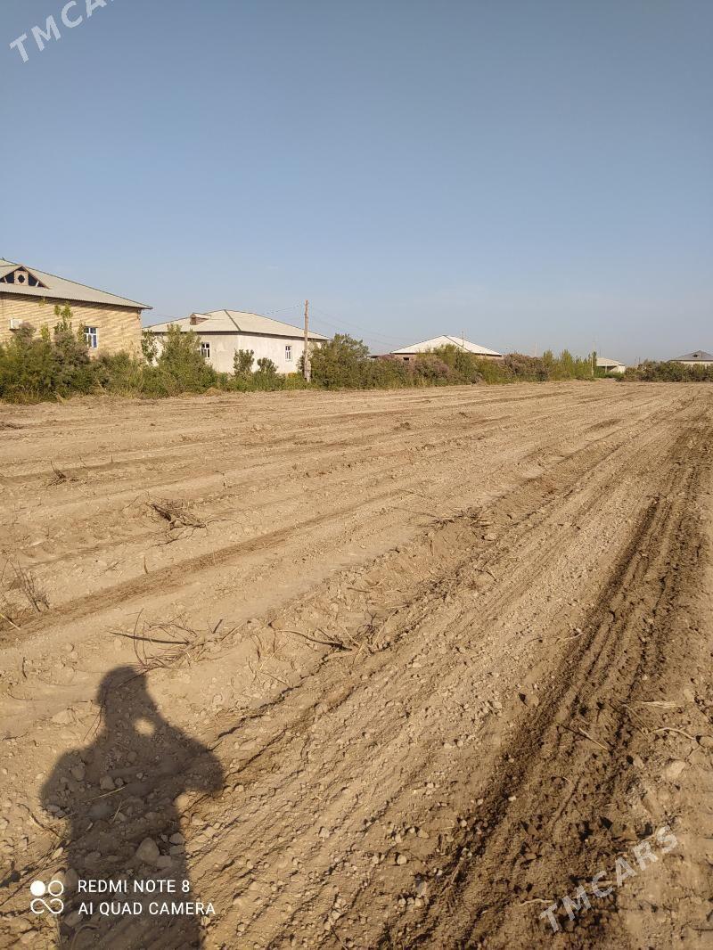 uchasga - Gubadag - img 3