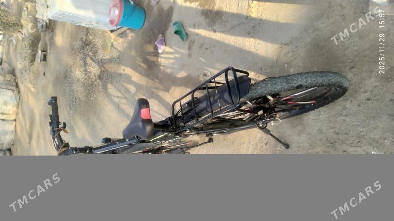 tigir - Hitrowka - img 2