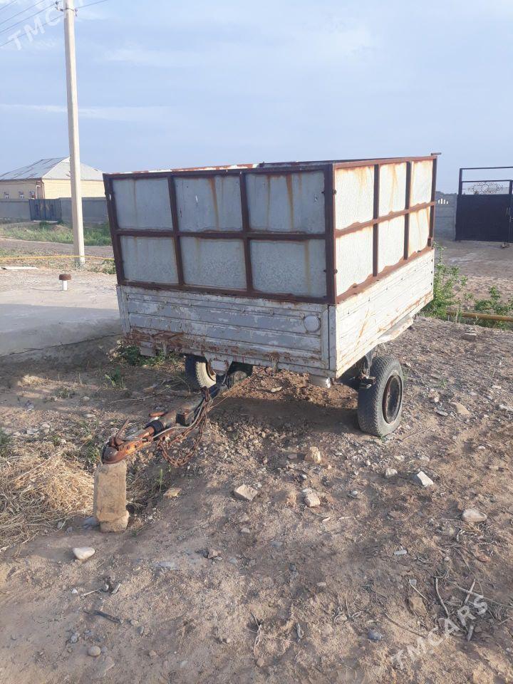 celek - Murgap - img 2