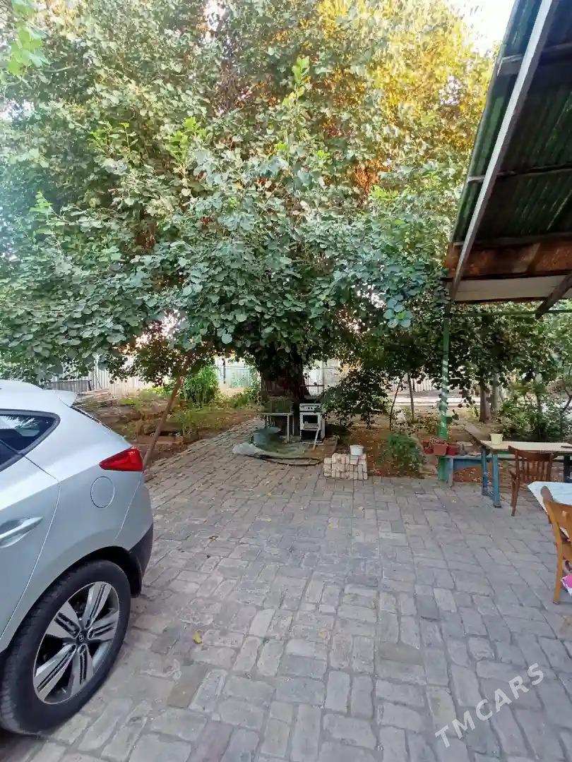 satlyk jay teke bazar - Ашхабад - img 2