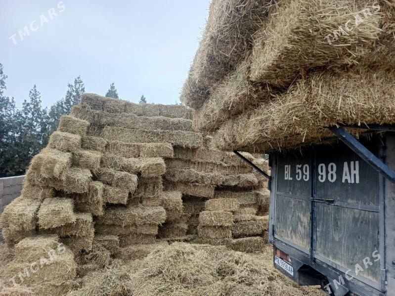 saman - Ашхабад - img 3