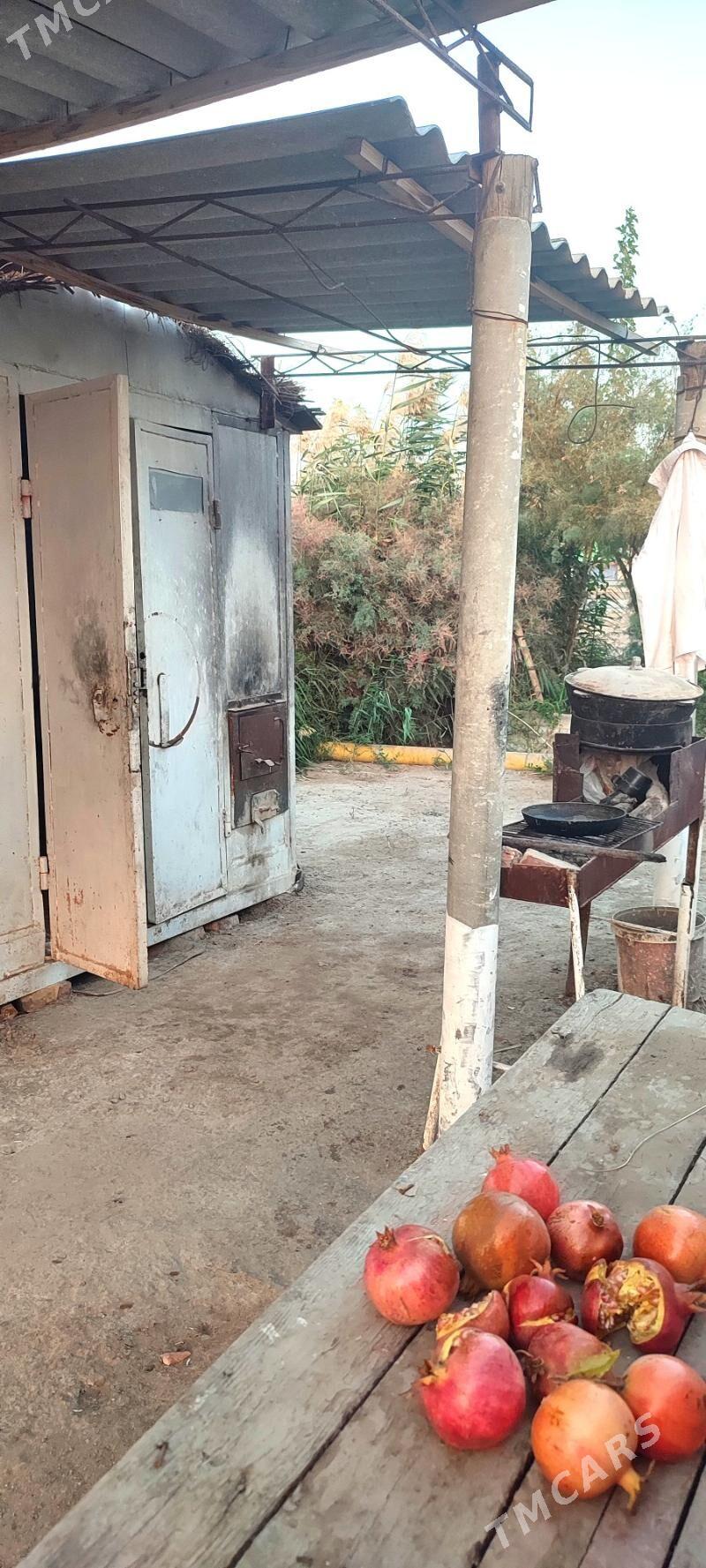 Яш Баг Пристинде - Фарап - img 10