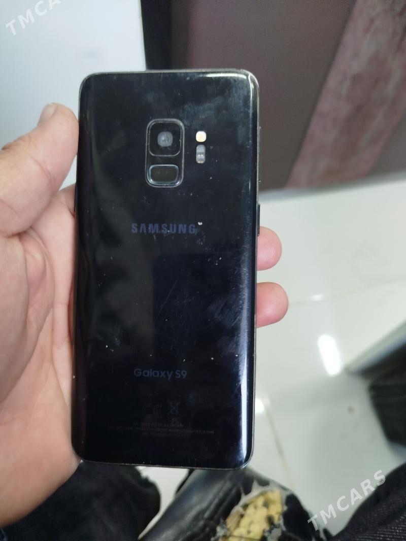 sam .S9 - Sakarçäge - img 2