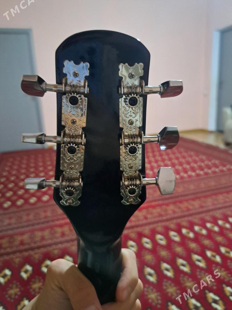 Gitara - Ак-Бугдайский этрап - img 2