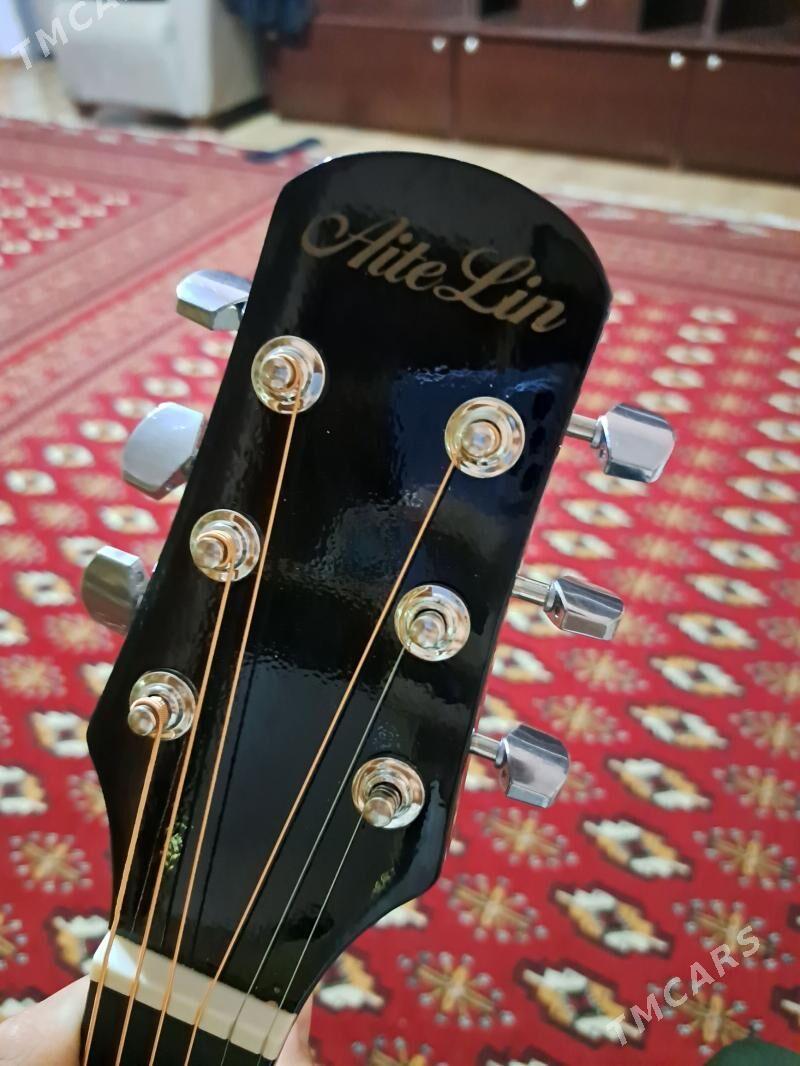 Gitara - Ак-Бугдайский этрап - img 1