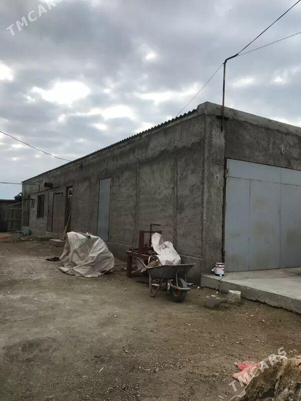 Satlyk jay - Hazar - img 3