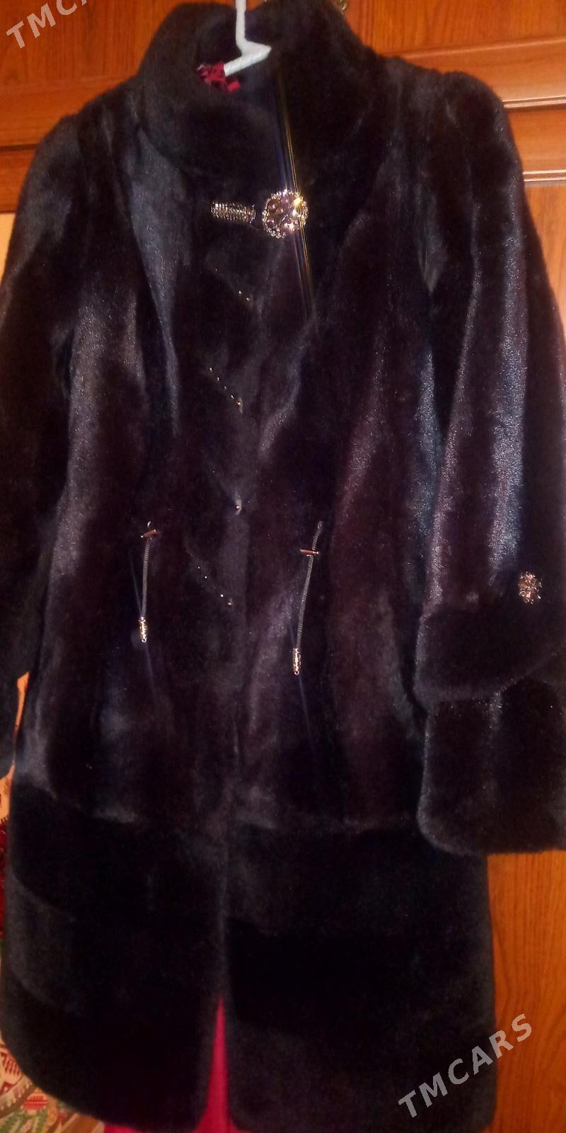 Arginal Şuba - Türkmenbaşy - img 1