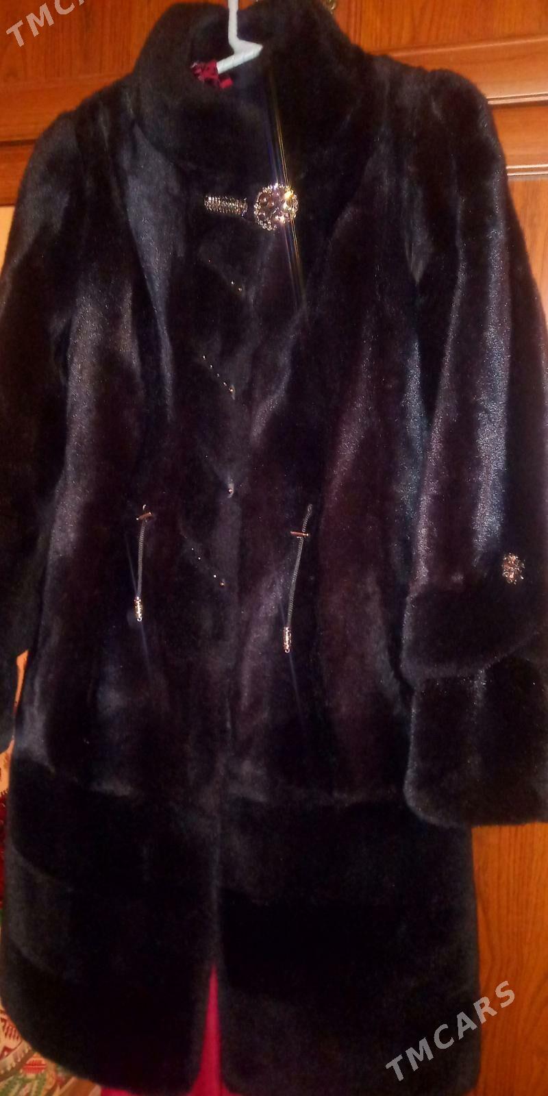 Arginal Şuba - Türkmenbaşy - img 2