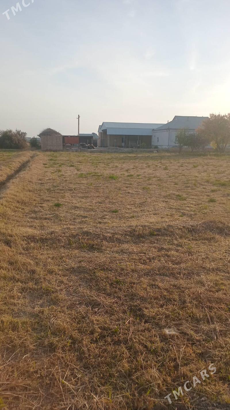 сатлык жай - Wekilbazar - img 3