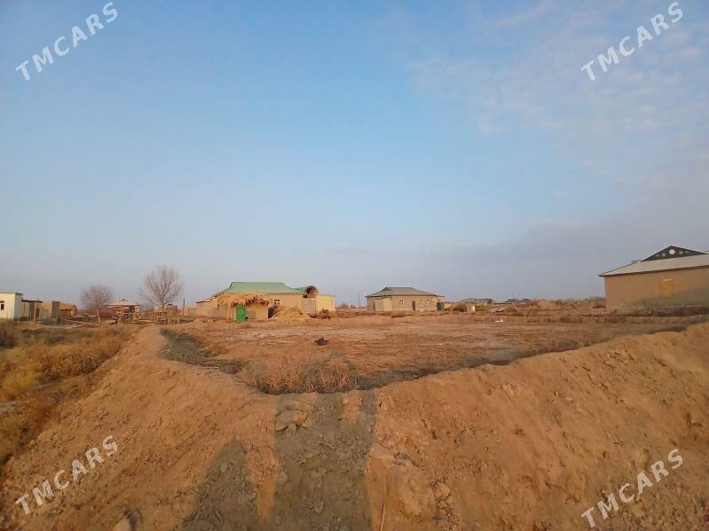 uchaska - Köneürgenç - img 10