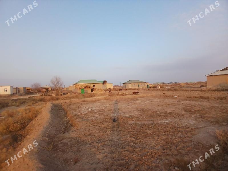 uchaska - Köneürgenç - img 5