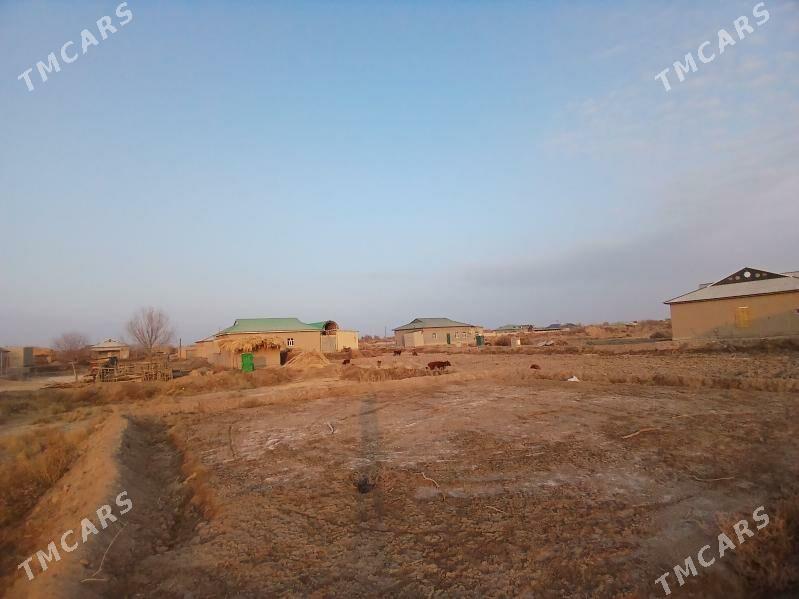 uchaska - Köneürgenç - img 4